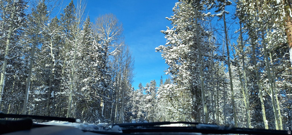 4376  GRANITE RDG Ashton, ID 83420