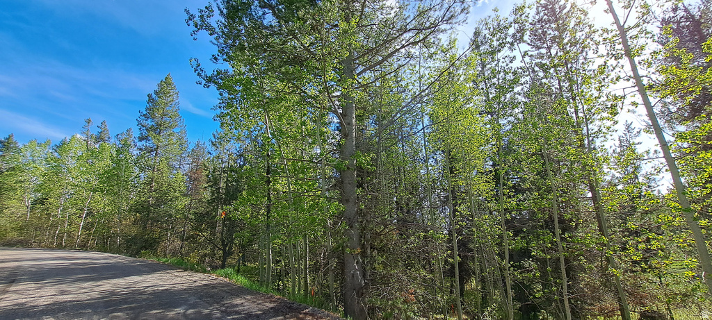 4376  GRANITE RDG Ashton, ID 83420