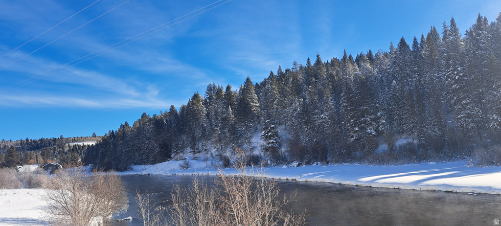 4376  GRANITE RDG Ashton, ID 83420