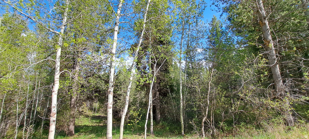 4376  GRANITE RDG Ashton, ID 83420