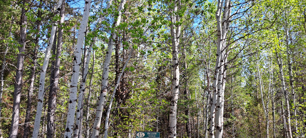 4376  GRANITE RDG Ashton, ID 83420