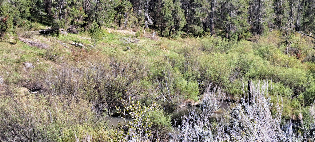 4376  GRANITE RDG Ashton, ID 83420