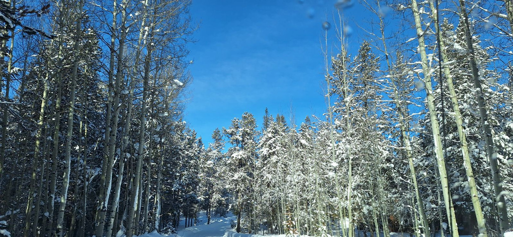 4376  GRANITE RDG Ashton, ID 83420