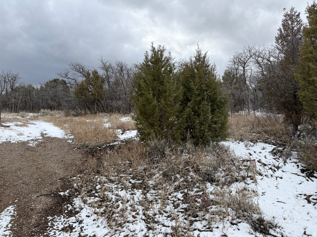 150  MOUNTAIN VIEW RD Mt Pleasant, UT 84647