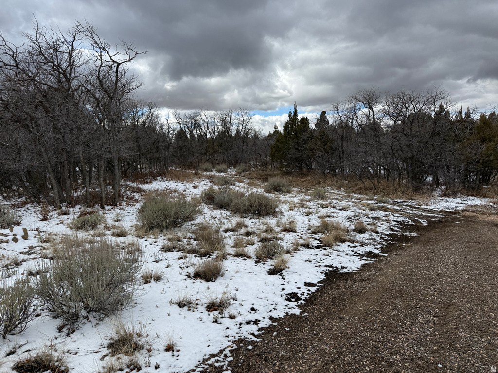 150  MOUNTAIN VIEW RD Mt Pleasant, UT 84647