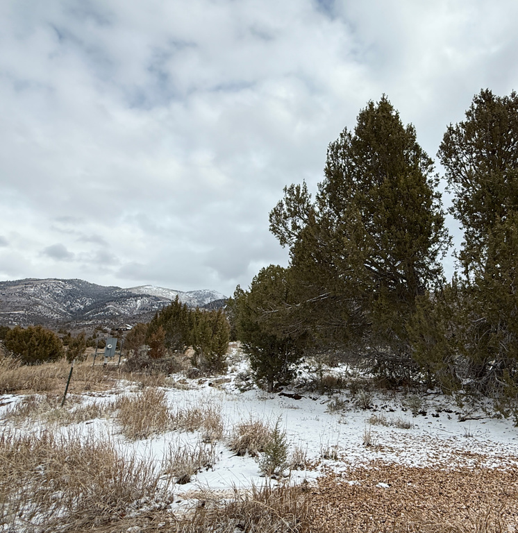 150  MOUNTAIN VIEW RD Mt Pleasant, UT 84647