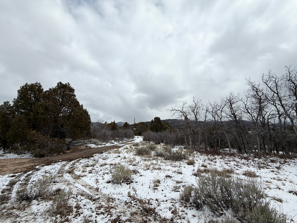 150  MOUNTAIN VIEW RD Mt Pleasant, UT 84647