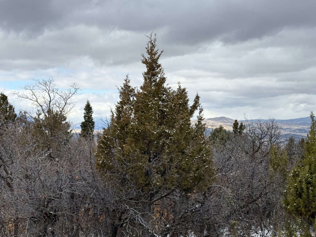 150  MOUNTAIN VIEW RD Mt Pleasant, UT 84647