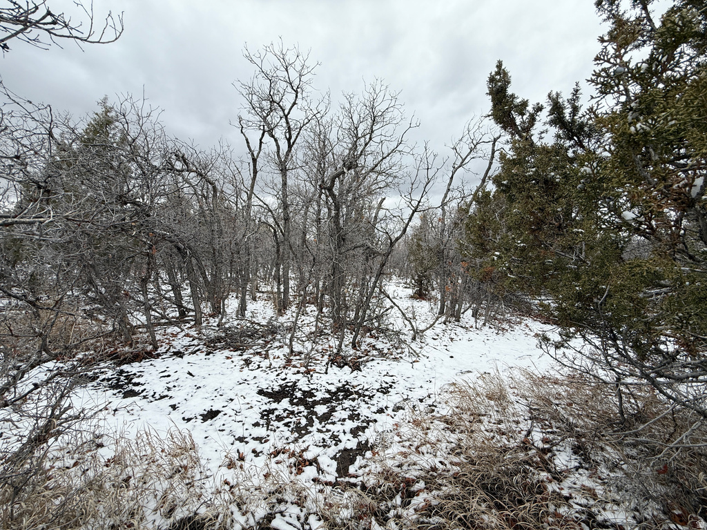 150  MOUNTAIN VIEW RD Mt Pleasant, UT 84647