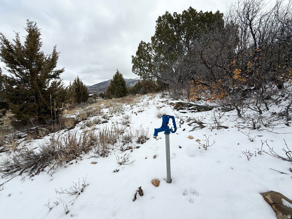 150  MOUNTAIN VIEW RD Mt Pleasant, UT 84647