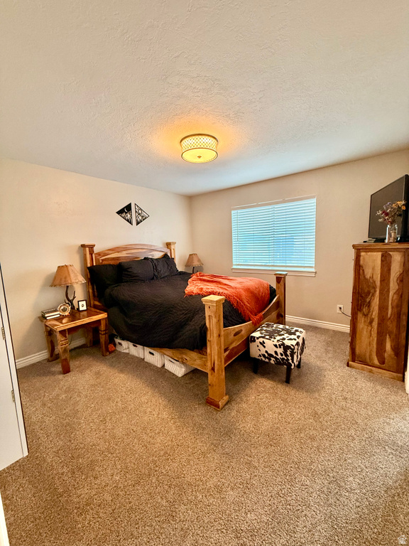 13877 S 2200 W Bluffdale, UT 84065