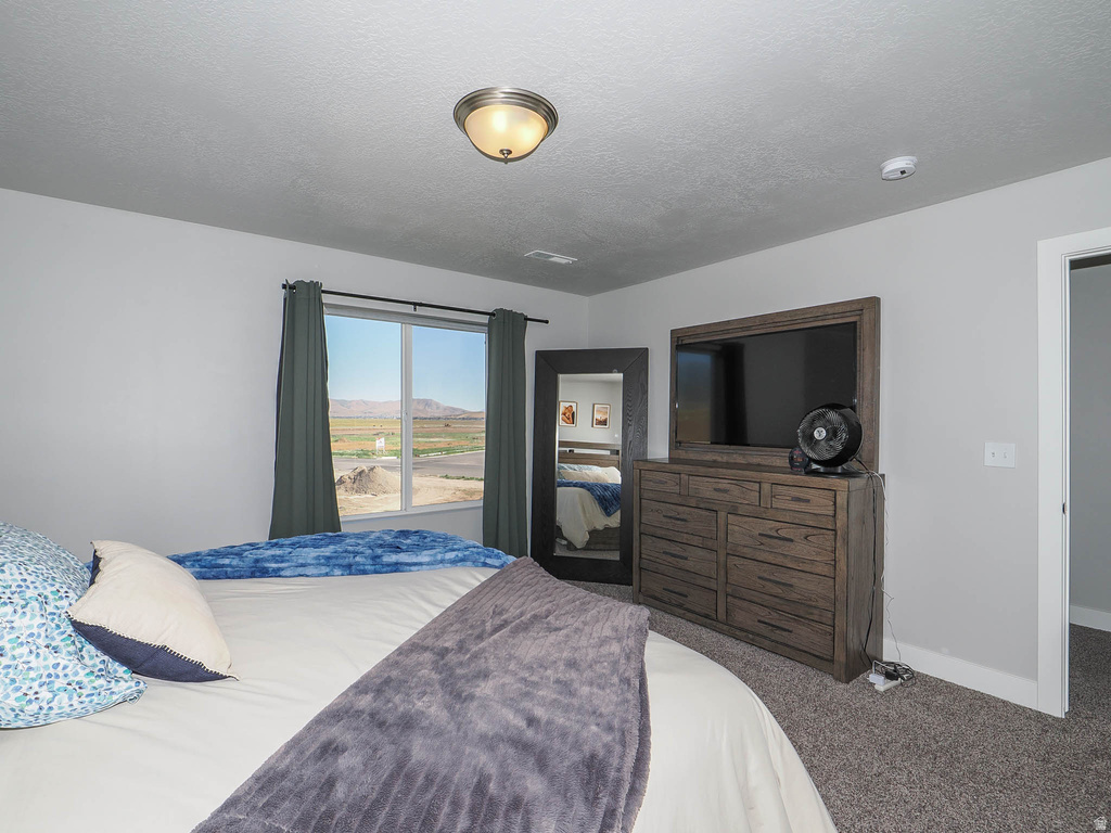 699 E RYEGRASS DR Eagle Mountain, UT 84005