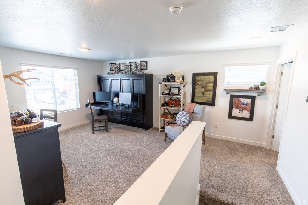 1373 S RAINTREE LN Santaquin, UT 84655