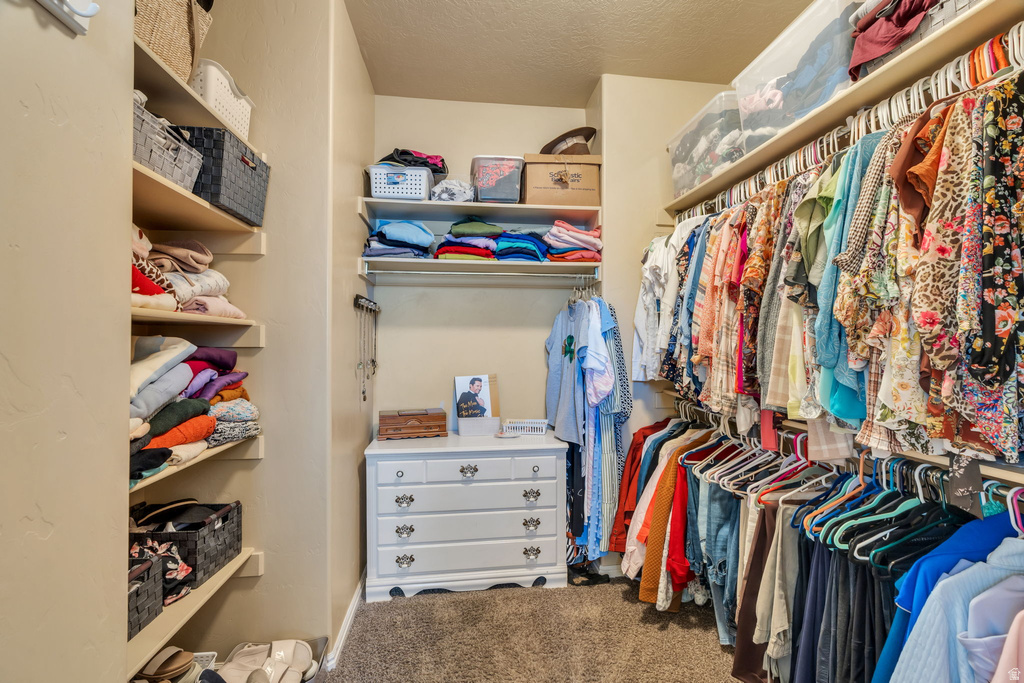 178 S 920 E American Fork, UT 84003