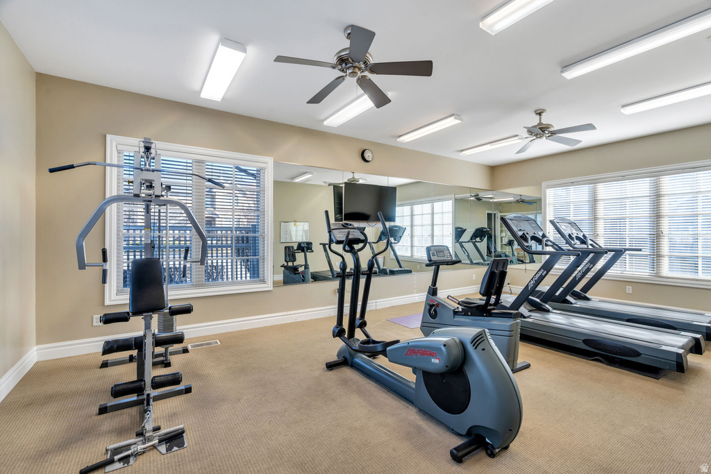 178 S 920 E American Fork, UT 84003