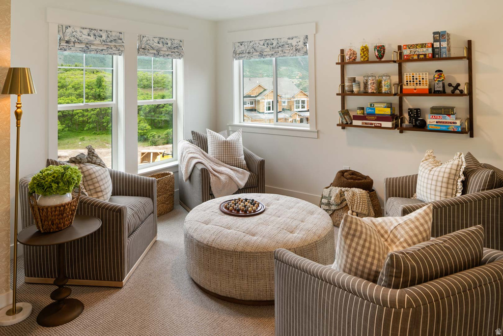 98 W LIMBER PINE DR #529 Mapleton, UT 84664