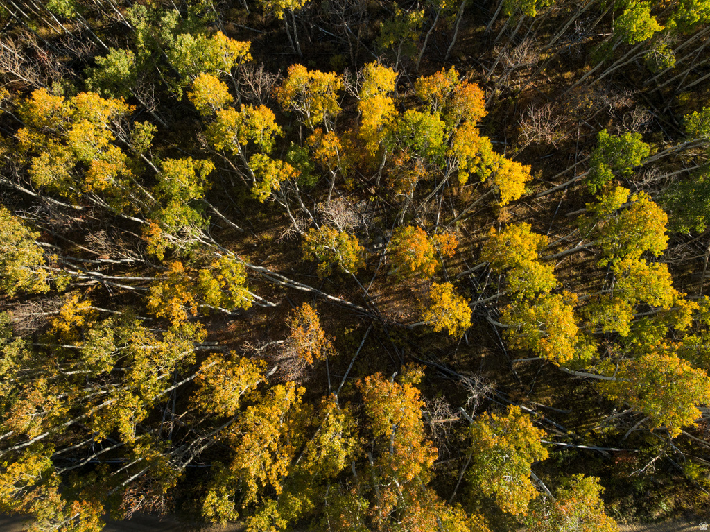 145 W FOREST MEADOW RD Wanship, UT 84017