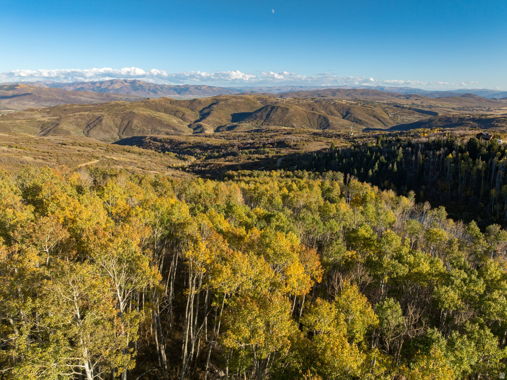 145 W FOREST MEADOW RD Wanship, UT 84017