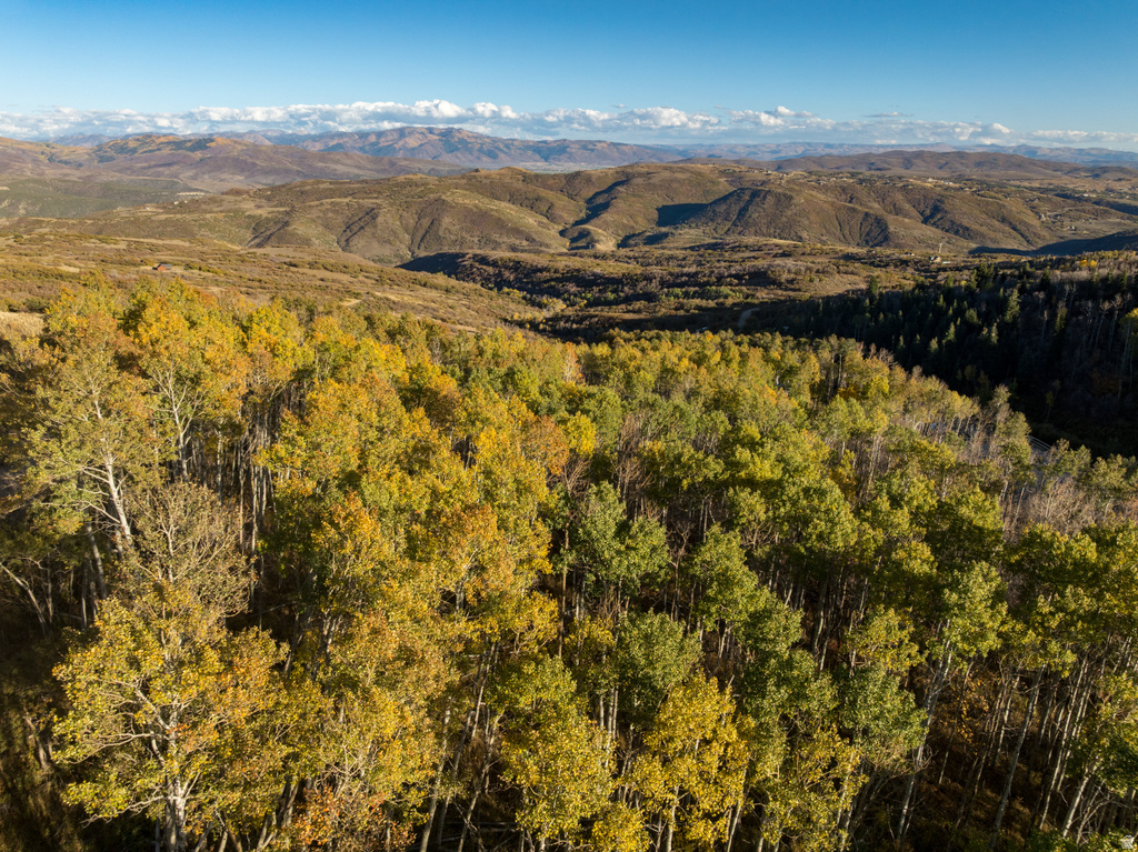 145 W FOREST MEADOW RD Wanship, UT 84017