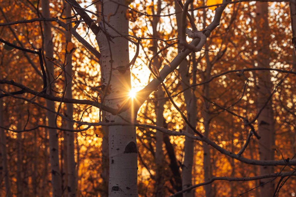 145 W FOREST MEADOW RD Wanship, UT 84017