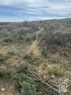 3113 S BUNCH GRASS DR Garden City, UT 84028