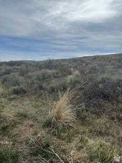 3113 S BUNCH GRASS DR Garden City, UT 84028