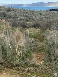 3113 S BUNCH GRASS DR Garden City, UT 84028
