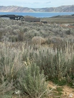 3113 S BUNCH GRASS DR Garden City, UT 84028