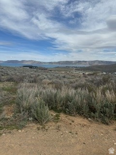 3113 S BUNCH GRASS DR Garden City, UT 84028