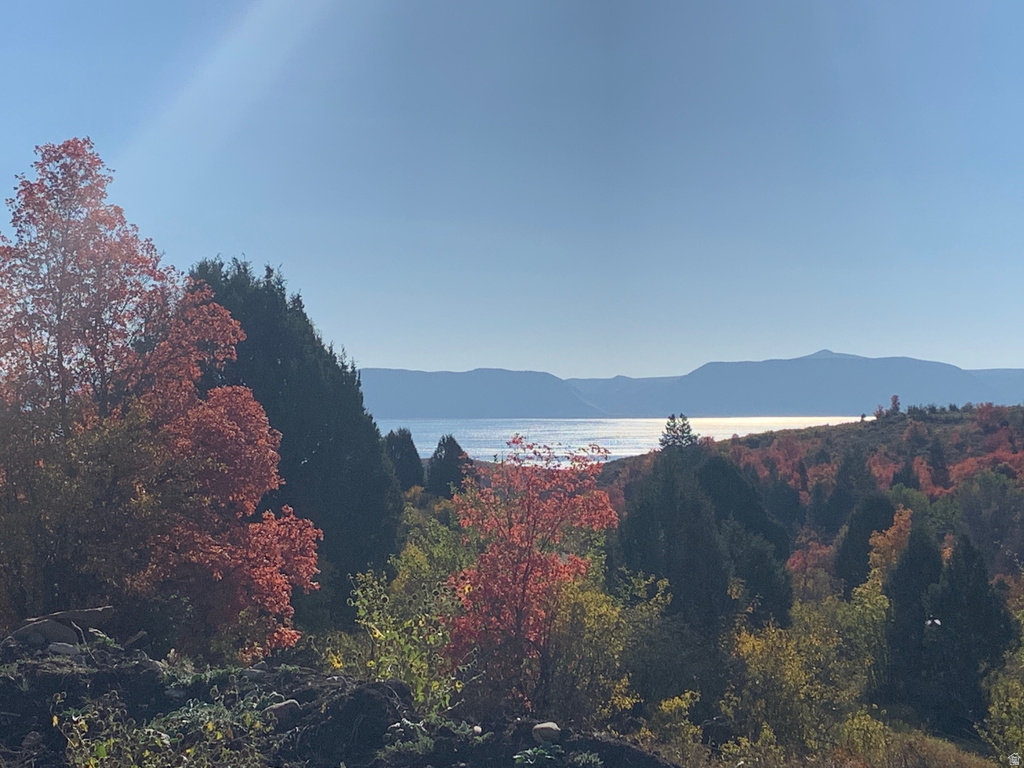 207 ASPEN CREEK CIR Fish Haven, ID 83287