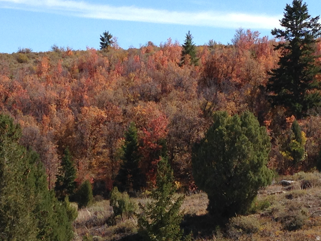 207 ASPEN CREEK CIR Fish Haven, ID 83287