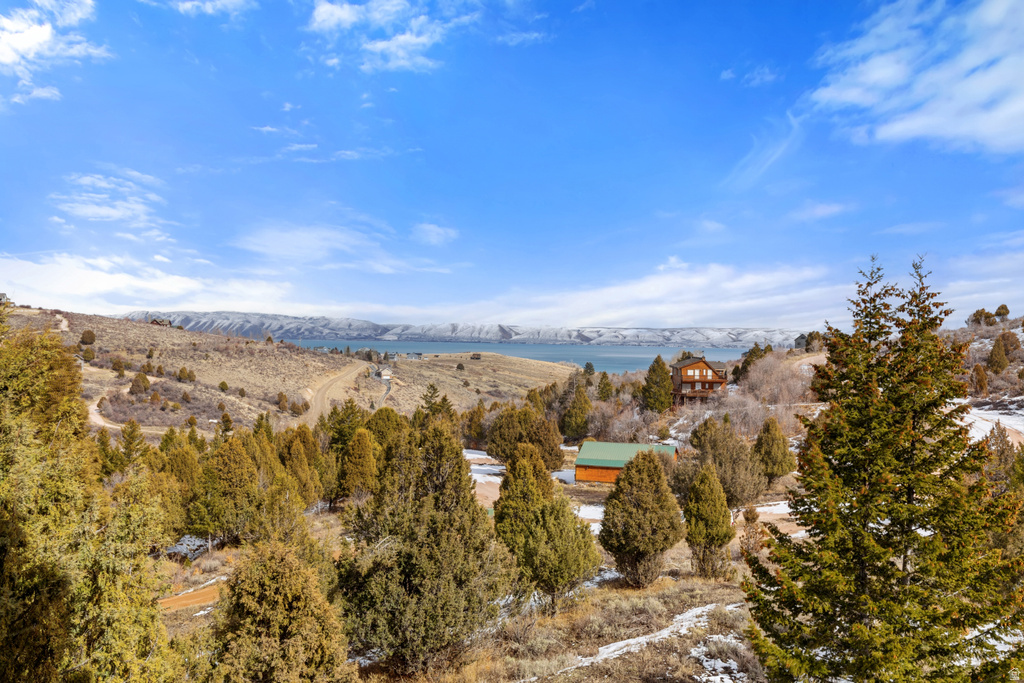 207 ASPEN CREEK CIR Fish Haven, ID 83287