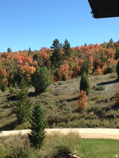 207 ASPEN CREEK CIR Fish Haven, ID 83287