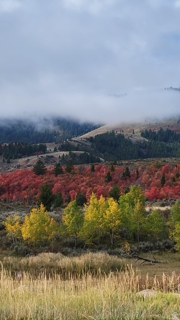 207 ASPEN CREEK CIR Fish Haven, ID 83287