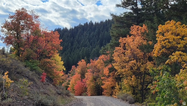 207 ASPEN CREEK CIR Fish Haven, ID 83287