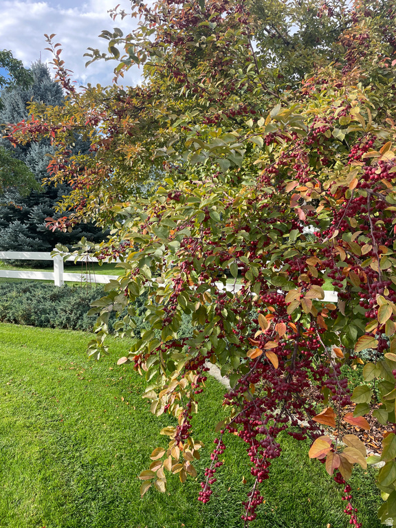 499 E 300 N Alpine, UT 84004