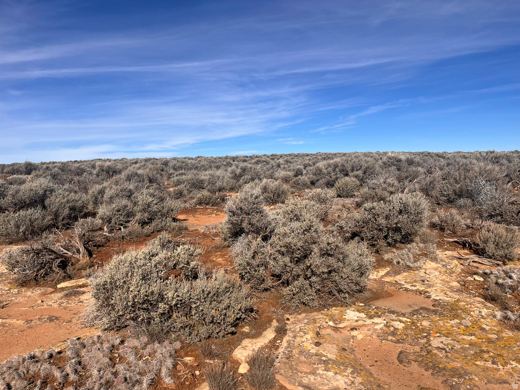 2  STURGEON RD Monticello, UT 84535