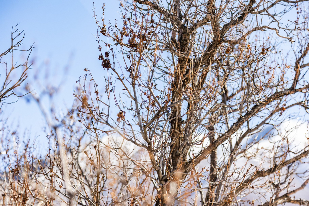 120 E MAGNOLIA LN Mapleton, UT 84664