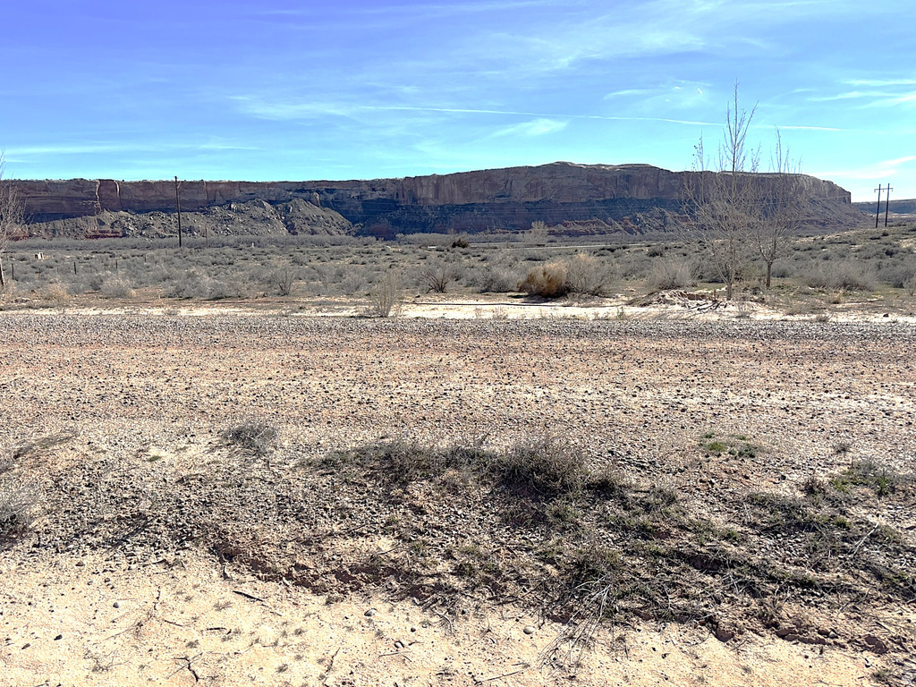 964 W PRICKLY PEAR AVE Bluff, UT 84512