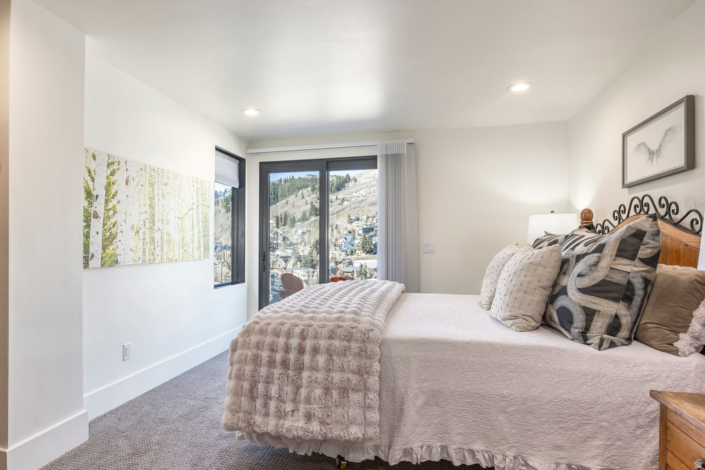 253 MCHENRY AVE Park City, UT 84060