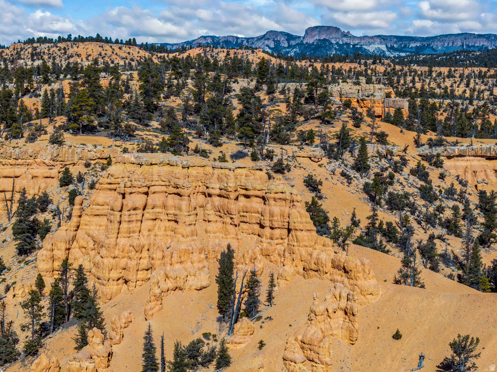  Bryce, UT 84764