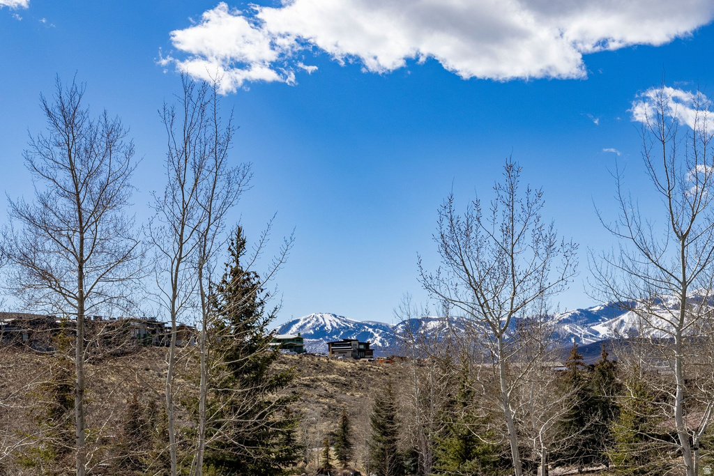 3091 E WESTVIEW TRL Park City, UT 84098