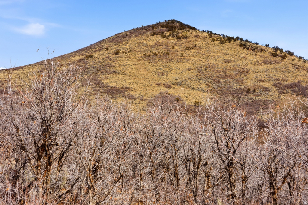 1434 W SKYRIDGE DR Heber City, UT 84032