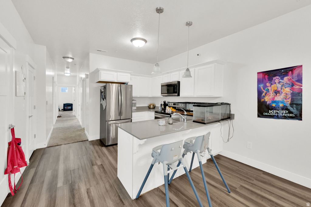 101 W TERRA VISTA DR Saratoga Springs, UT 84045