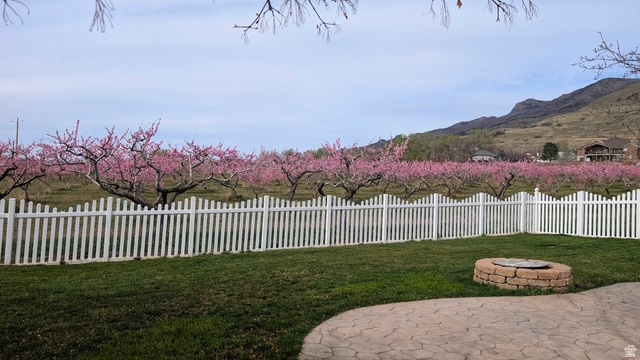 1351 E BAER RD Fruit Heights, UT 84037