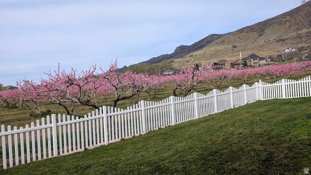 1351 E BAER RD Fruit Heights, UT 84037