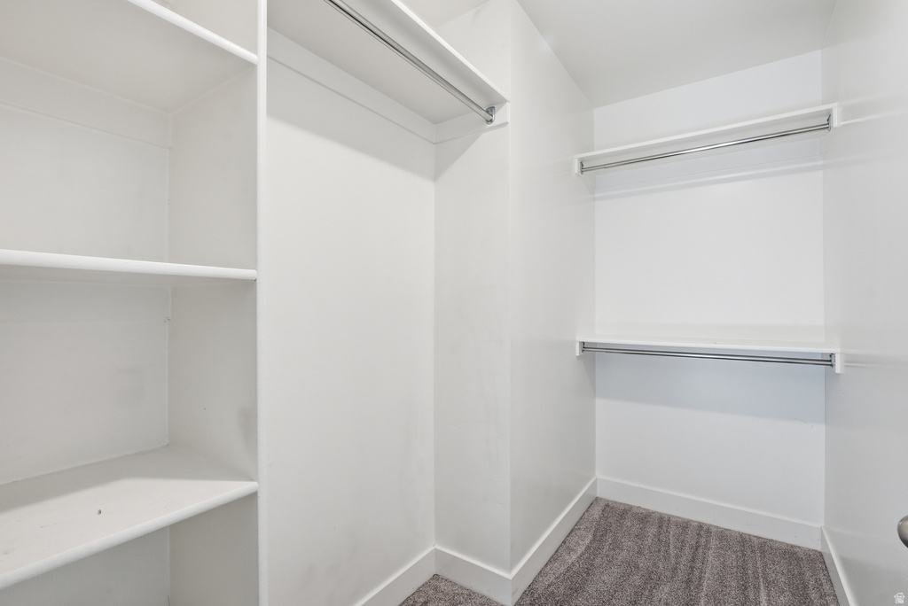 1041 W PAINTED HORSE LN Bluffdale, UT 84065