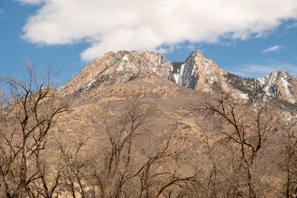 2323 E WALKER LN Holladay, UT 84117