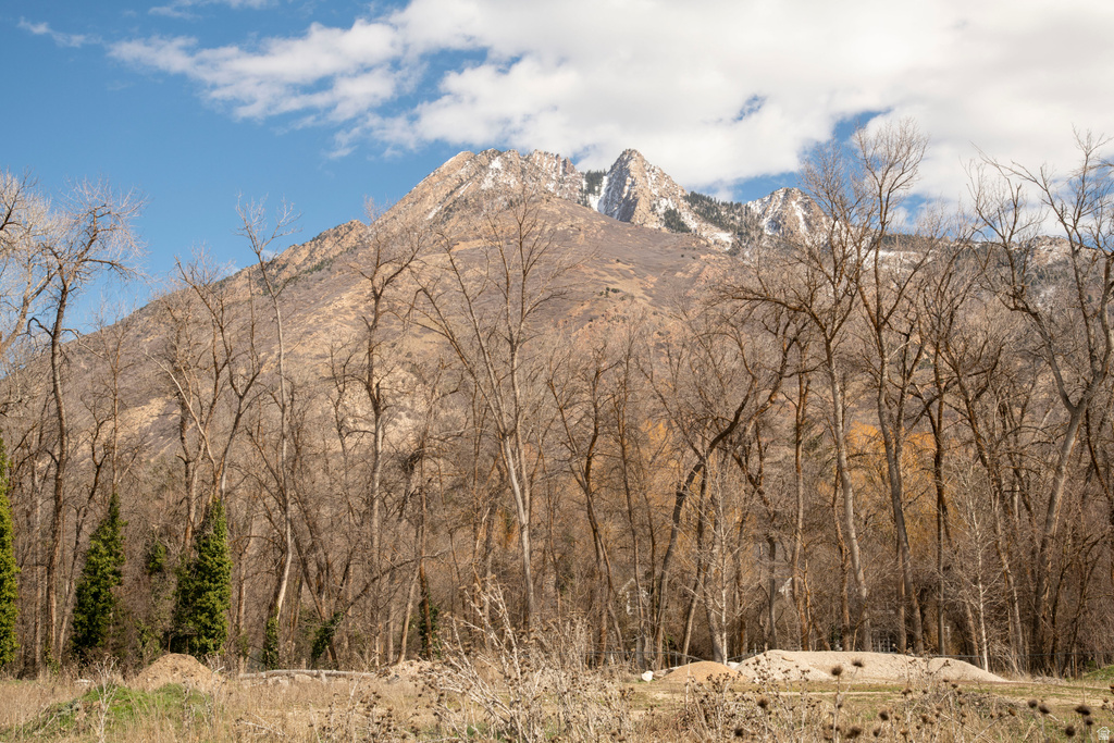 2323 E WALKER LN Holladay, UT 84117