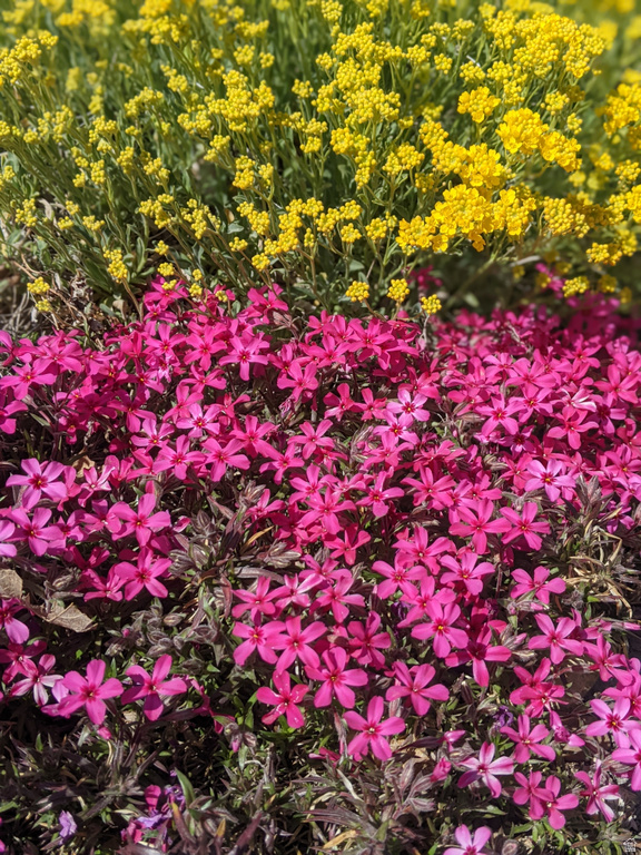 442 W 2540 N Lehi, UT 84043